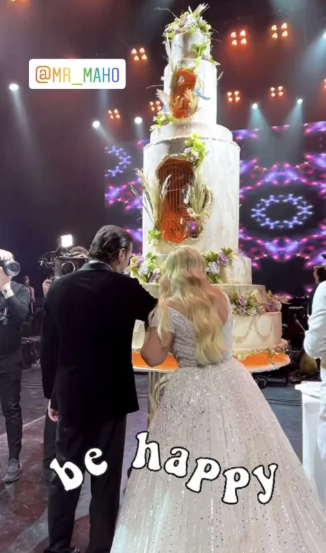 Ziya Məmmədovun qardaşı oğlunun dəbdəbəli toyu - Alişan, Röya…