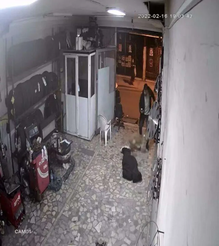 “O Ses” iştirakçısına silahlı hücum