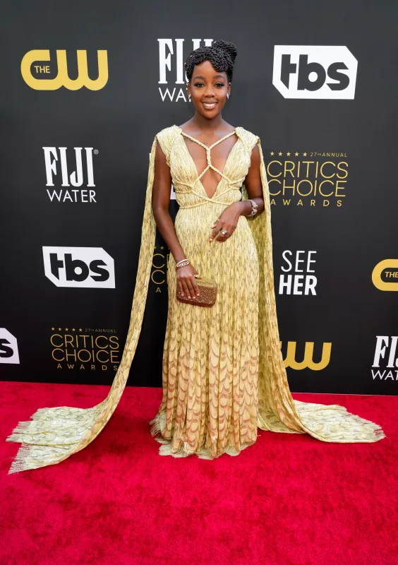 Yaradıcı siluetlər, cəsur rənglər - Dəb gecəsi