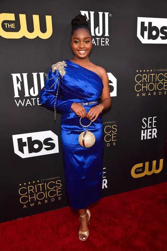 Yaradıcı siluetlər, cəsur rənglər - Dəb gecəsi