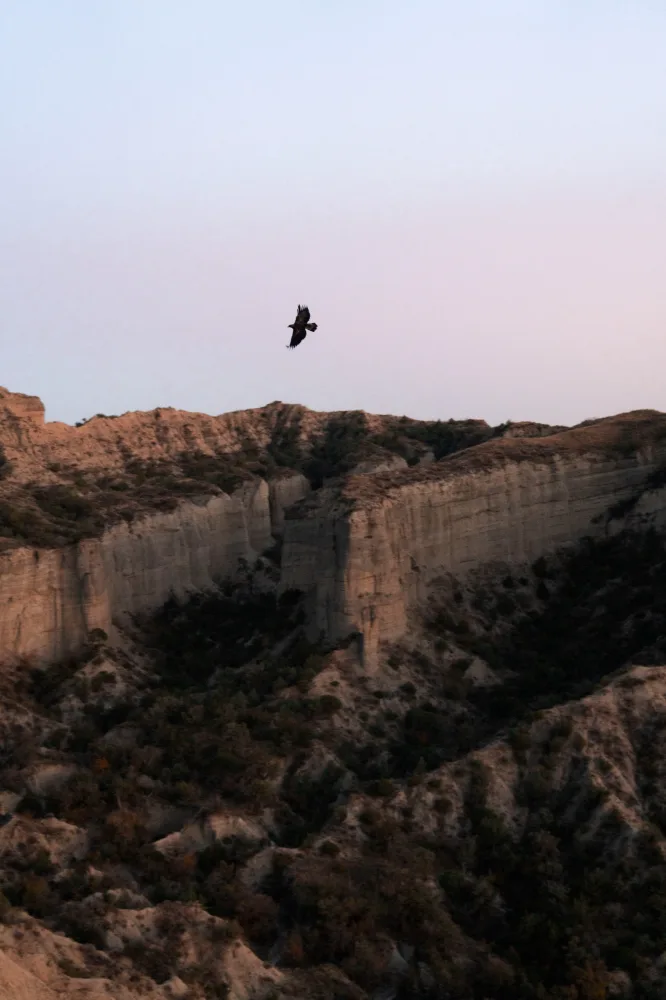 Leyla Əliyeva və Arzu Əliyeva Axar-Baxar Milli Parkının açılış mərasimində iştirak edib