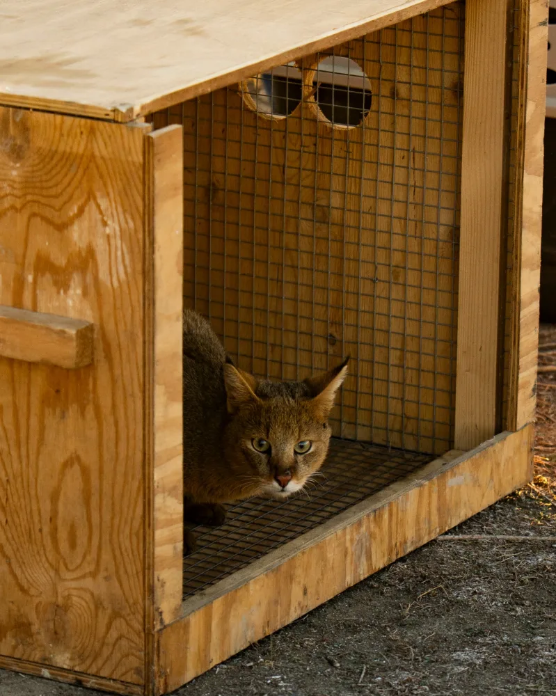 Leyla Əliyeva və Arzu Əliyeva Axar-Baxar Milli Parkının açılış mərasimində iştirak edib