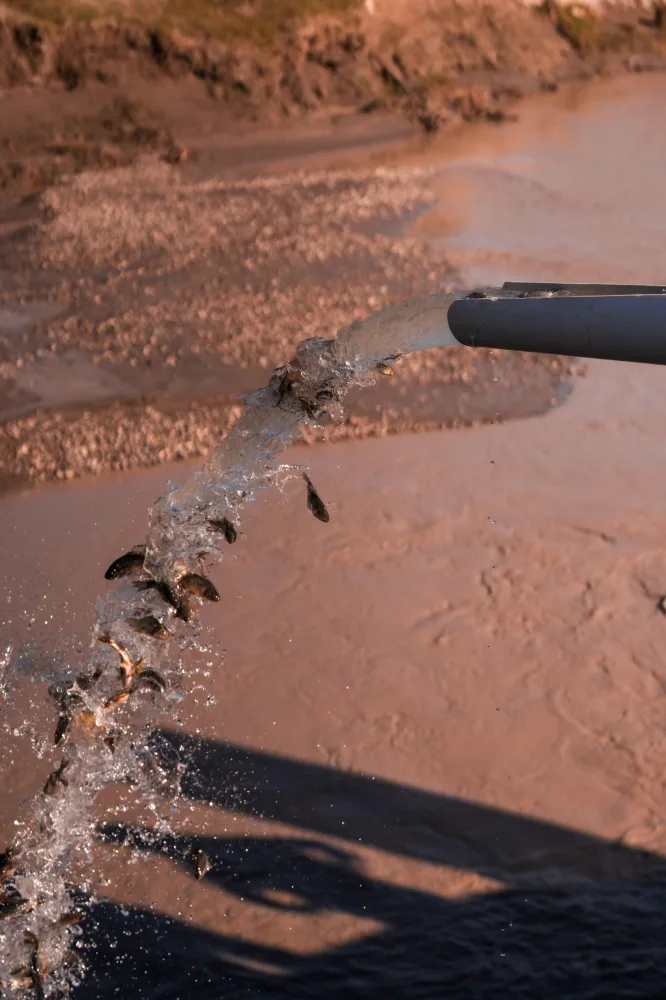 Leyla Əliyeva və Arzu Əliyeva Axar-Baxar Milli Parkının açılış mərasimində iştirak edib