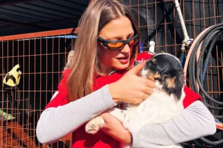 Serenay xeyriyyə addımı atıb