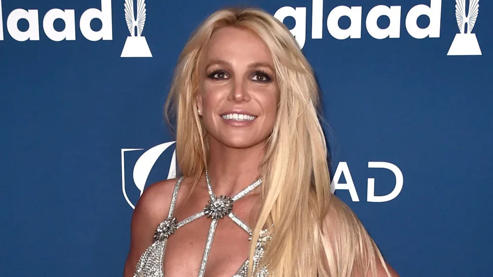 Britni instaqramı sildi