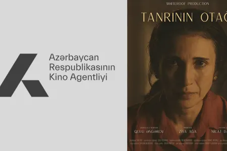 “Faktın yenidən elanını yox, səbəbi bilmək istəyirik”