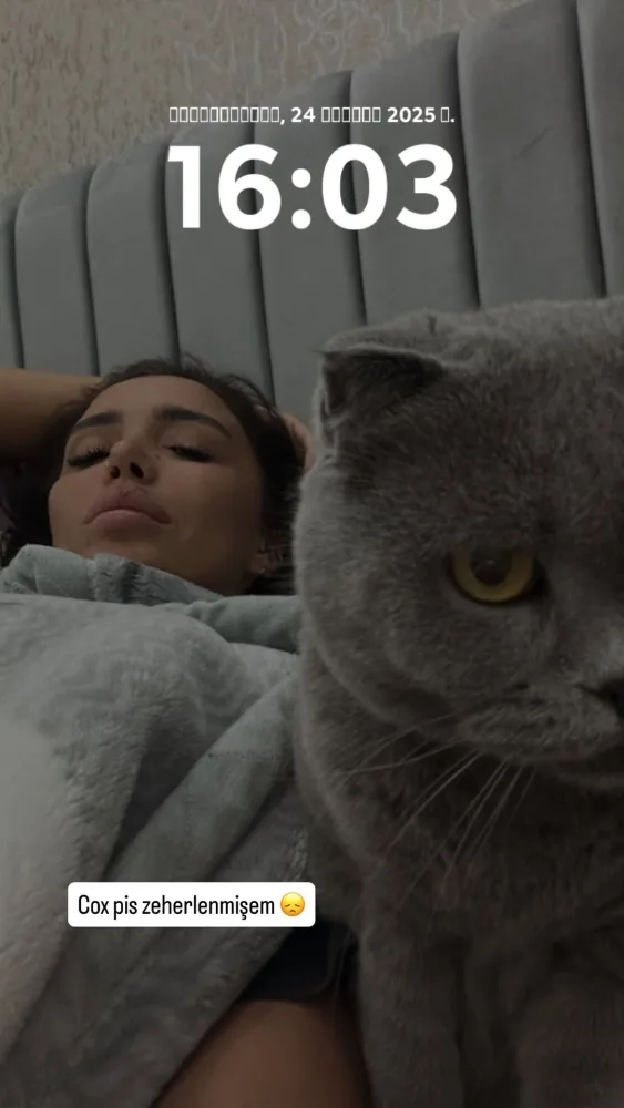 Renka xəstəxanalıq oldu