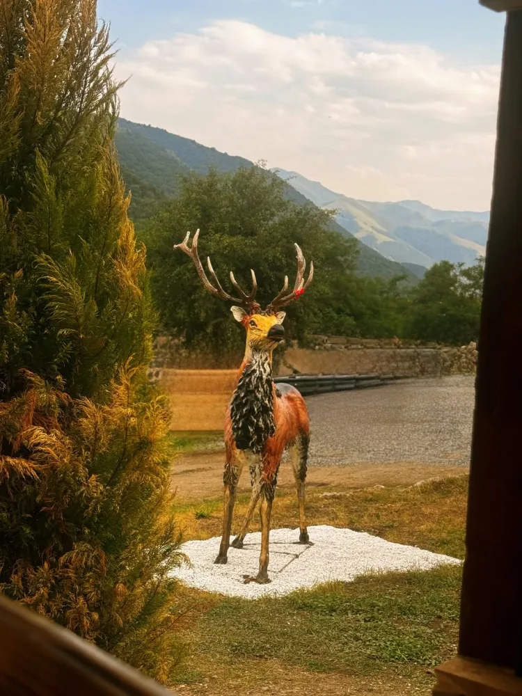 Abbas Bağırov Kəlbəcərdə!