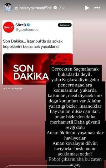 Günel bu qərara etiraz etdi