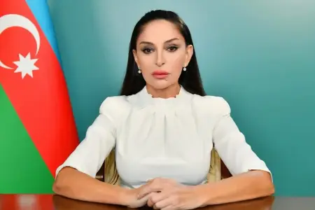 Mehriban Əliyevadan təyyarə qəzasının ildönümü ilə bağlı paylaşım