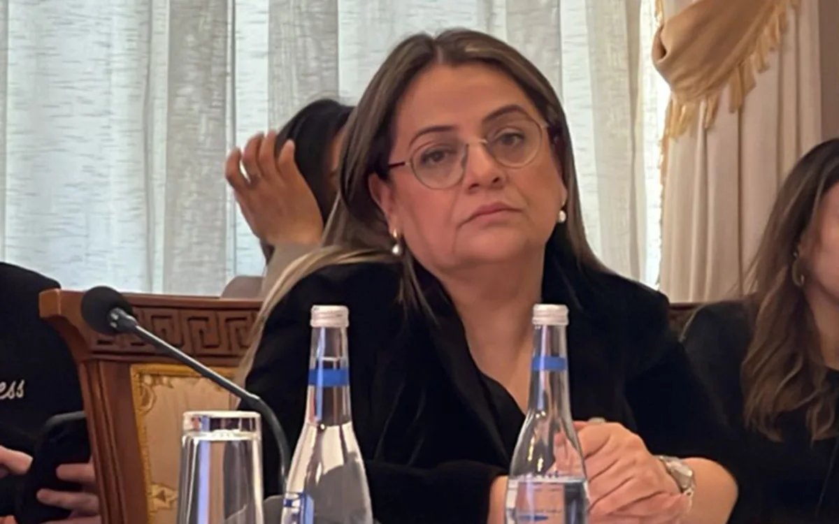 Dövlət teatrlarında vakant yerlərə direktor təyinatları olacaq