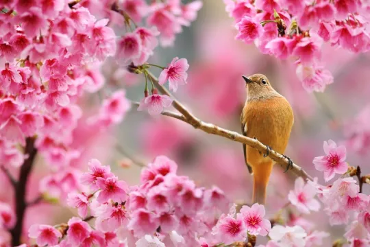 Mart ayının qeyri-iş günləri