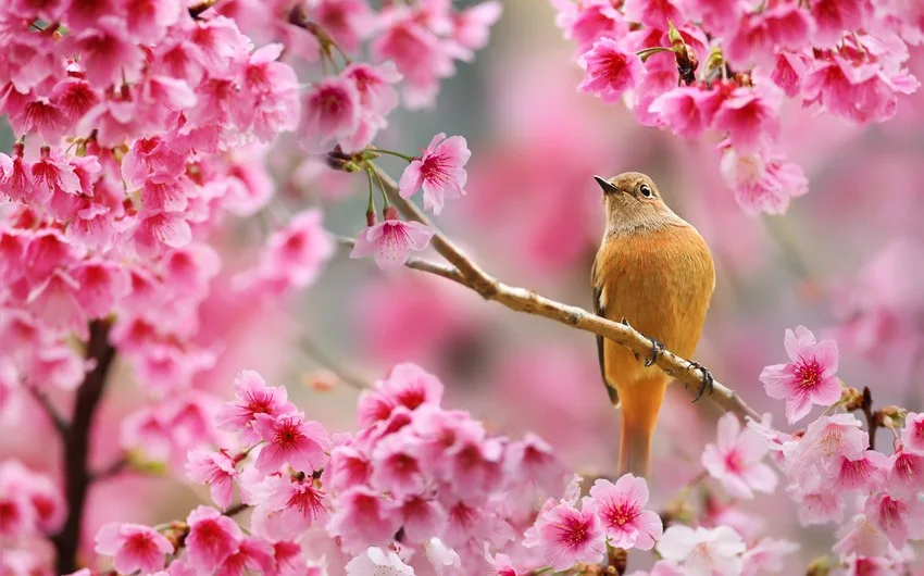 Mart ayının qeyri-iş günləri