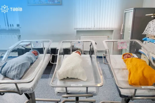 Lənkəranda üçuşaqlı ana üçəm dünyaya gətirib