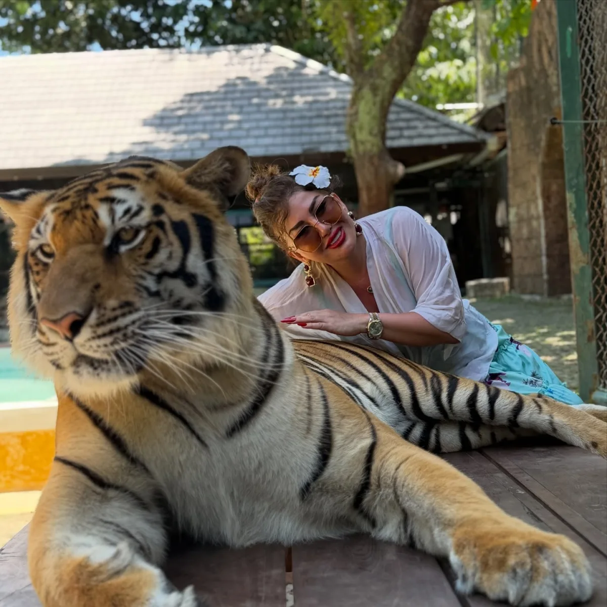 Fatimə Taylanda getdi