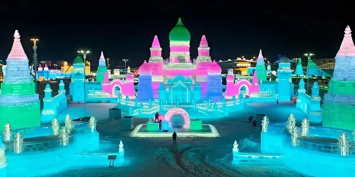 Çində pinqvinlərin paradı - Fotolar