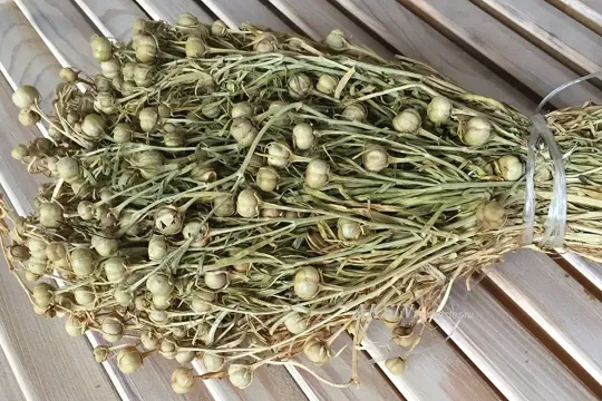 Üzərlikdən istifadə məhdudlaşdırıla bilər?