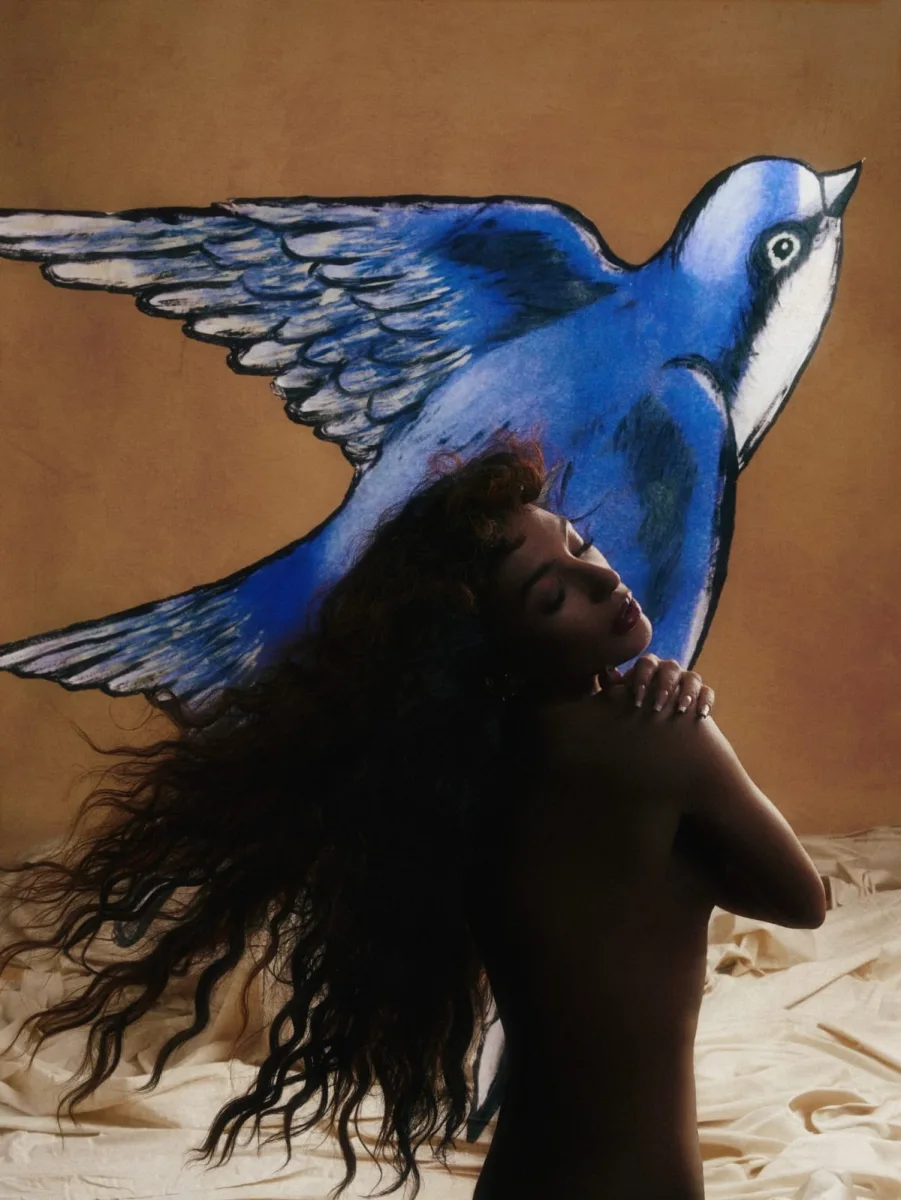 Dilarədən "qaranquş”lu fotolar