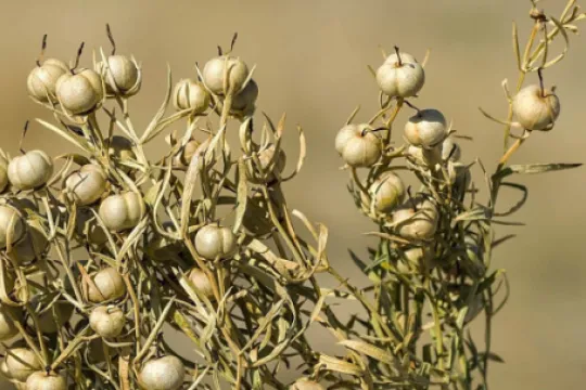 Üzərliklə bağlı daha bir - Xəbərdarlıq