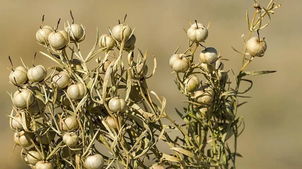 Üzərliklə bağlı daha bir - Xəbərdarlıq
