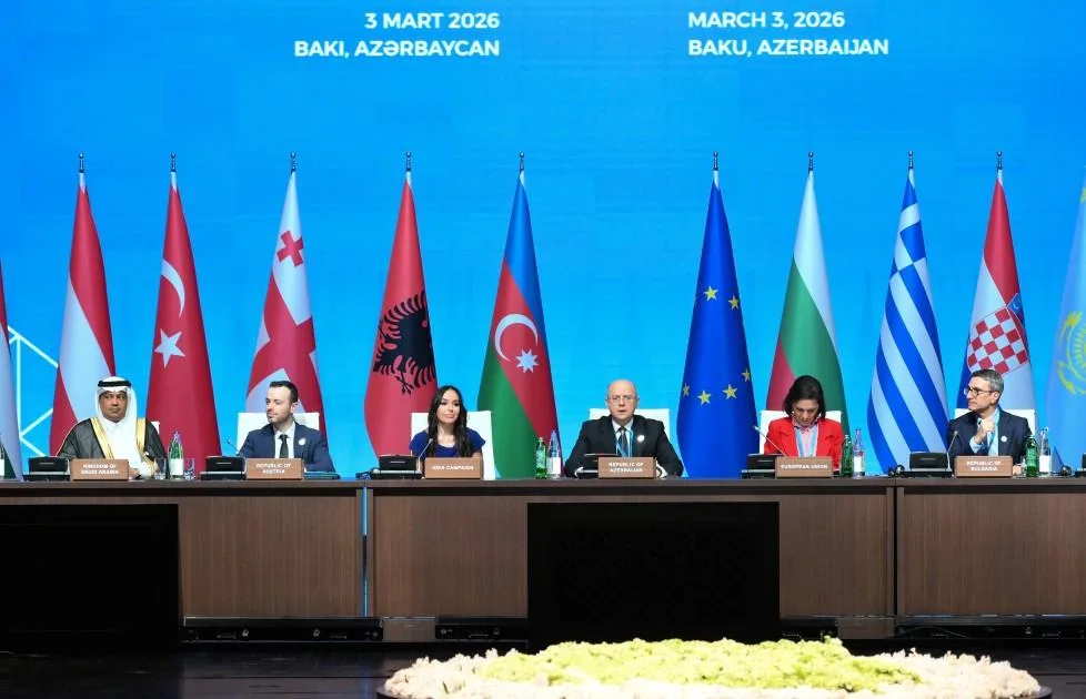 Leyla Əliyeva “Yaşıl enerji layihələri” sessiyasında - Fotolar