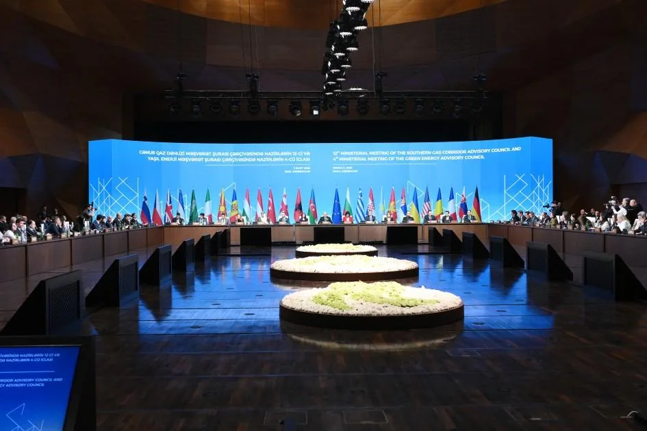 Leyla Əliyeva “Yaşıl enerji layihələri” sessiyasında - Fotolar