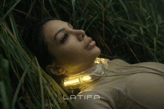 Dünyada viral olan pinqvinə mahnı həsr etdi