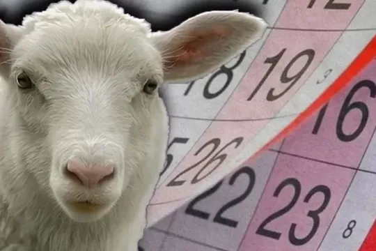 Qurban Bayramında ardıcıl 5 gün iş olmayacaq