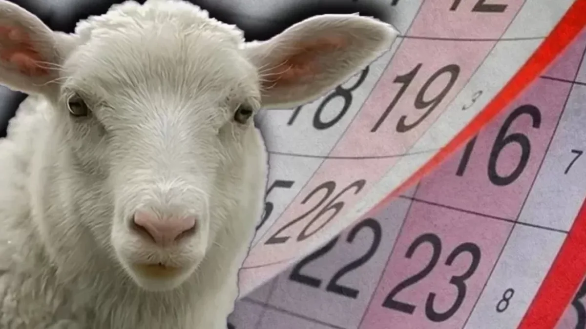 Qurban Bayramında ardıcıl 5 gün iş olmayacaq