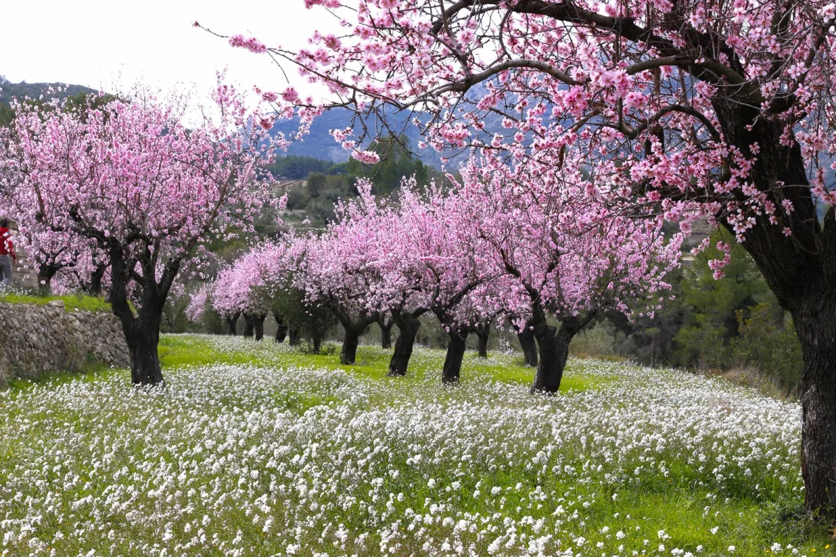 Mayda 14 gün qeyri-iş günü olacaq
