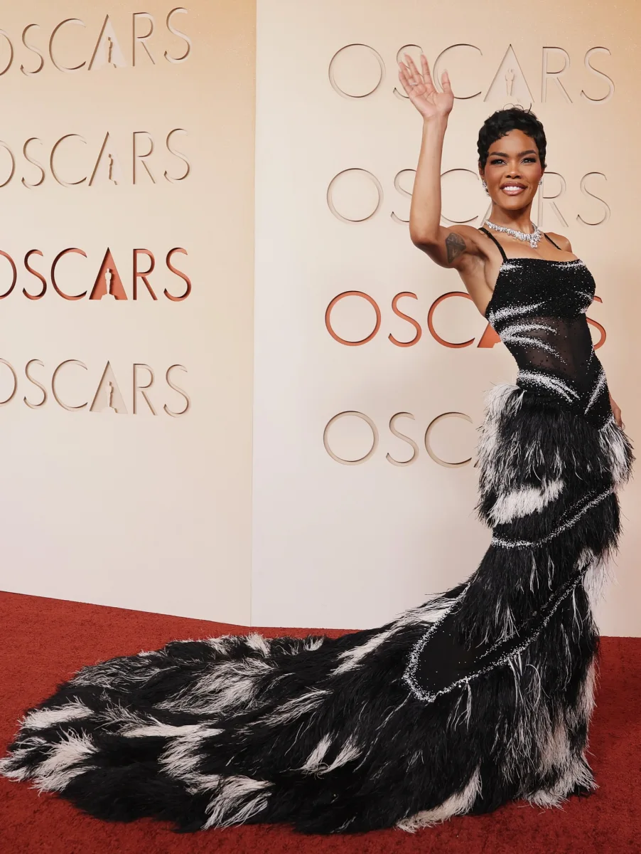 Oskarlıq qırmızı xalı geyimləri...