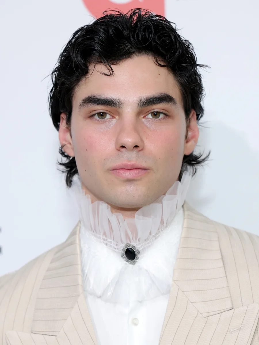 Oskarlıq qırmızı xalı geyimləri...