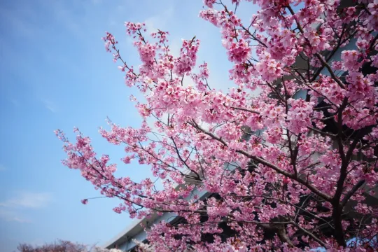 Sabah hava necə olacaq?