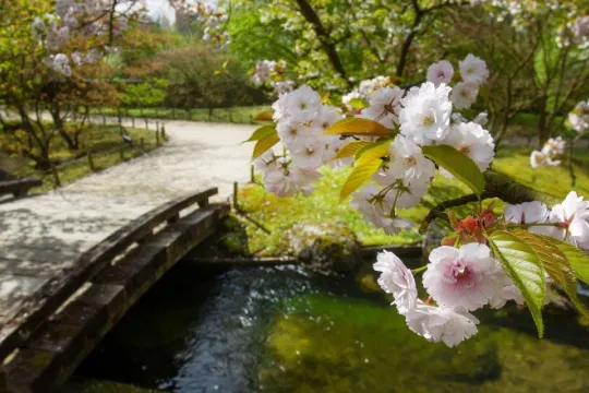 Sabah hava necə olacaq? 