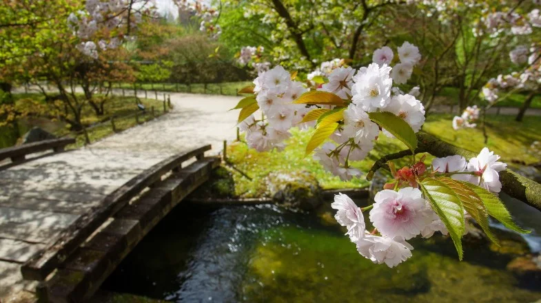 Sabah hava necə olacaq? 