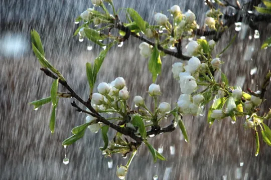 Hava ilə bağlı - Xəbərdarlıq