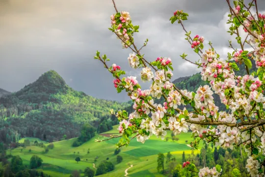 Apreldə hava necə olacaq? - Aylıq proqnoz