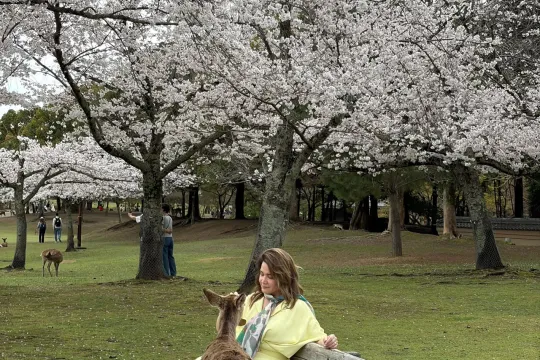 Mehriban Zəki Yaponiyada...