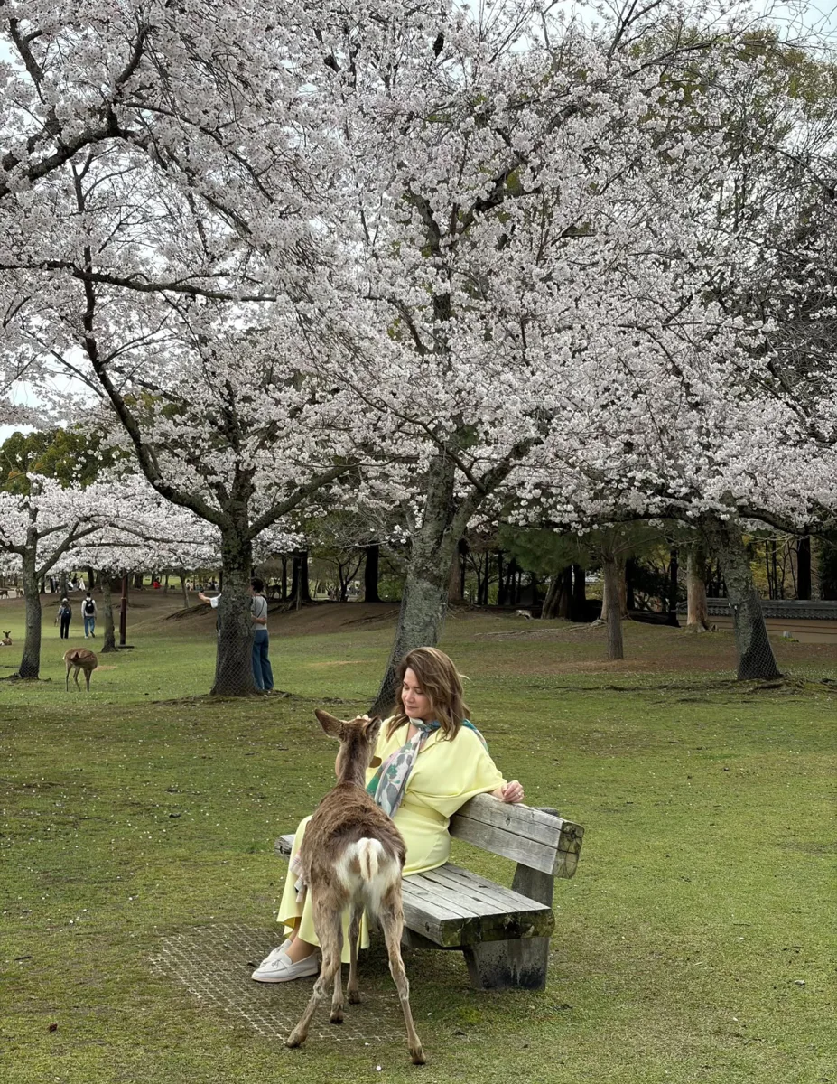 Mehriban Zəki Yaponiyada...