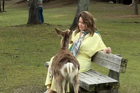 Mehriban Zəki Yaponiyada...