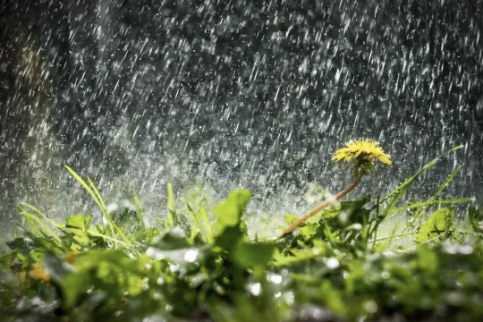 Sabah bəzi yerlərdə hava yağıntılı olacaq