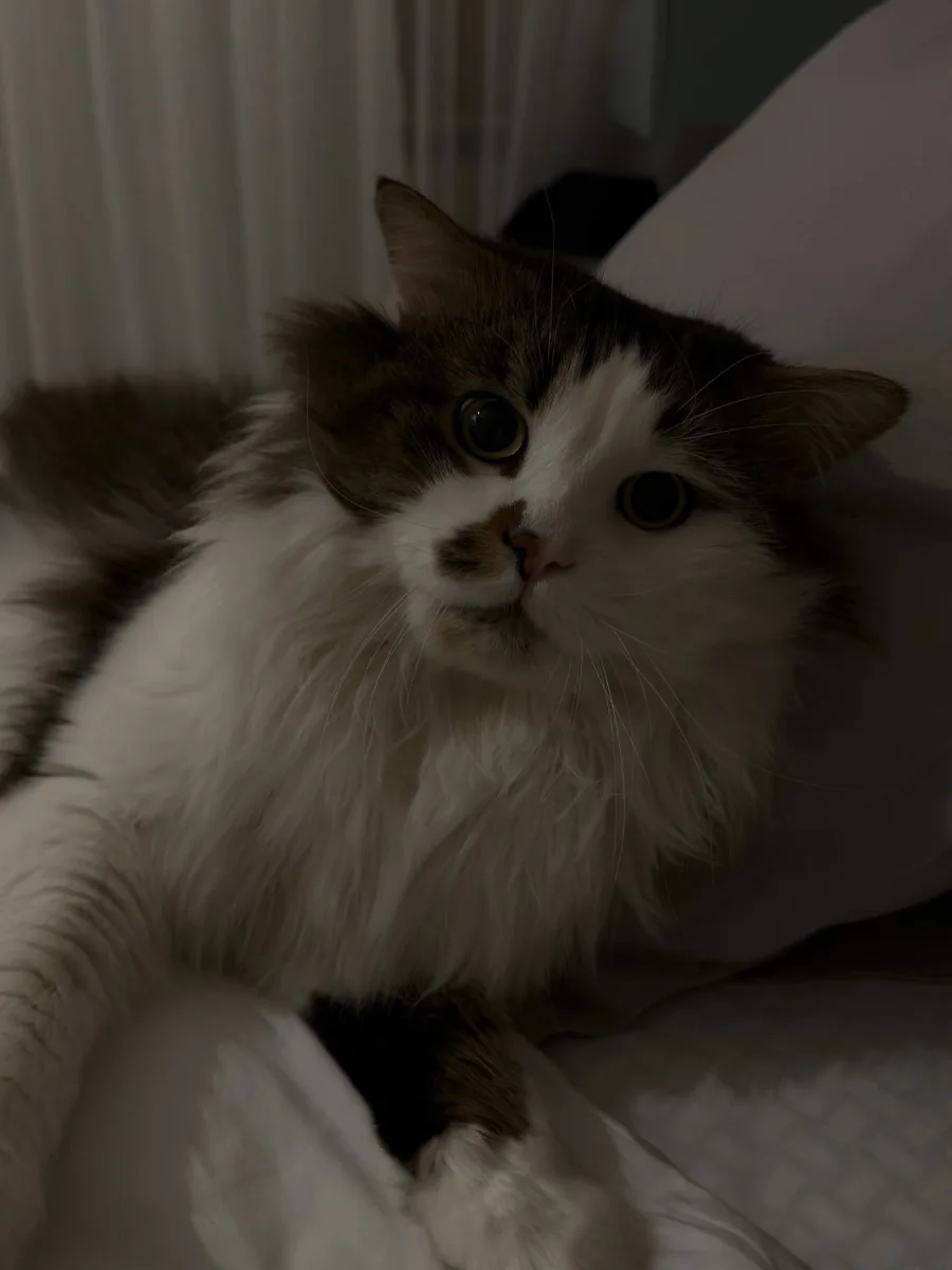 “Həyatım o qədər maraqlı keçir...”