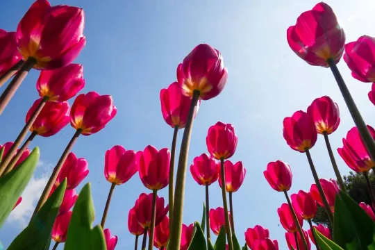 Sabah hava necə olacaq?