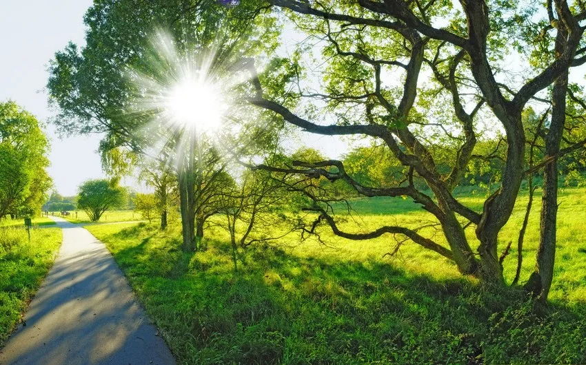 Sabah hava yağmursuz keçəcək
