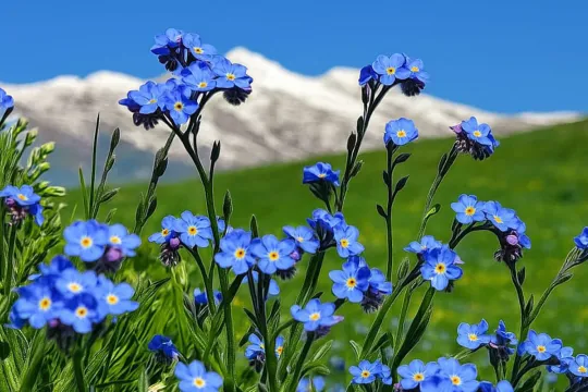 Sabahın havası açıqlandı