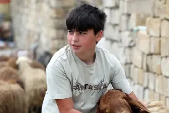 Günün qurbanları... - Fotolar