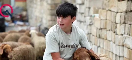 Günün qurbanları... - Fotolar