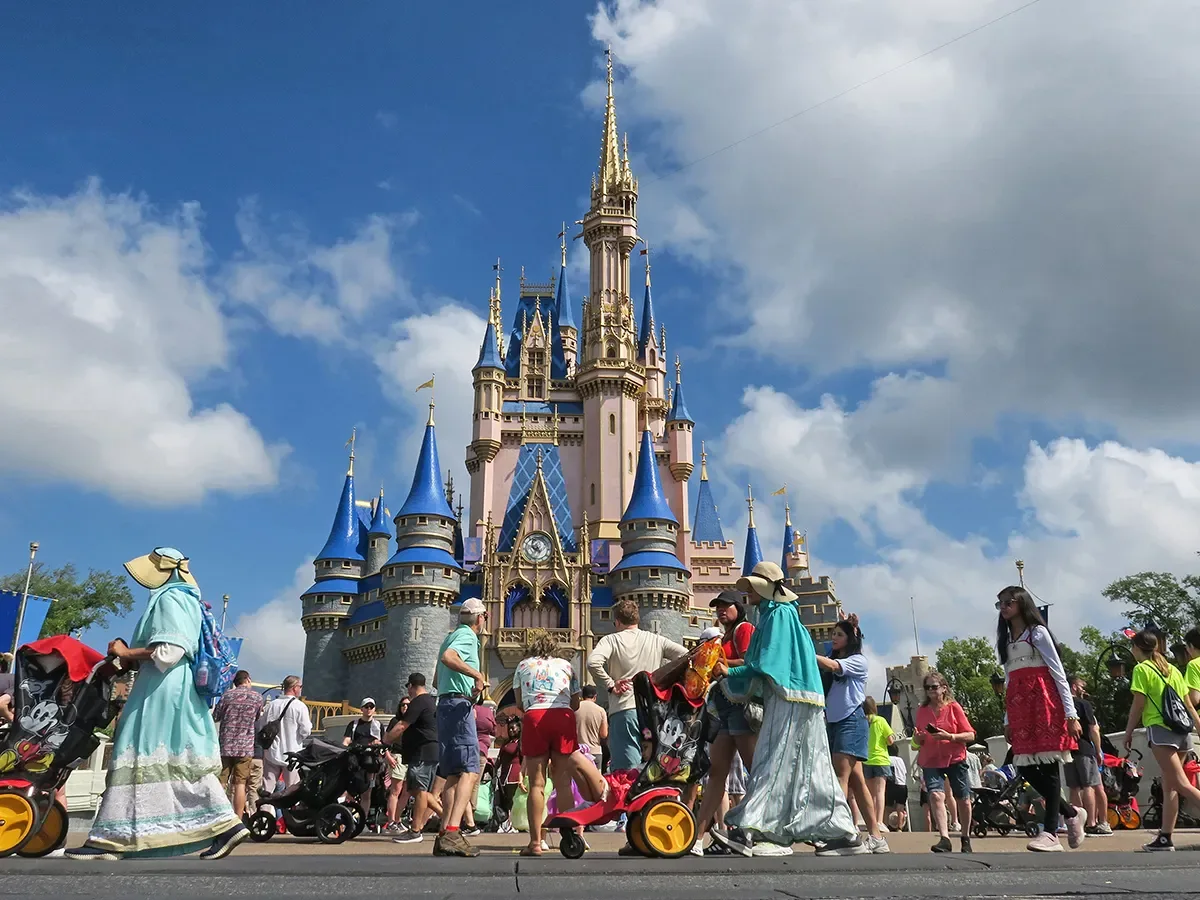 “Disneyland”dən 414 alliqator çıxarıldı!