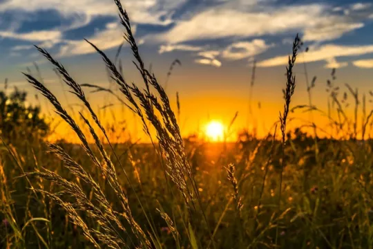 Sabah temperatur yüksələcək