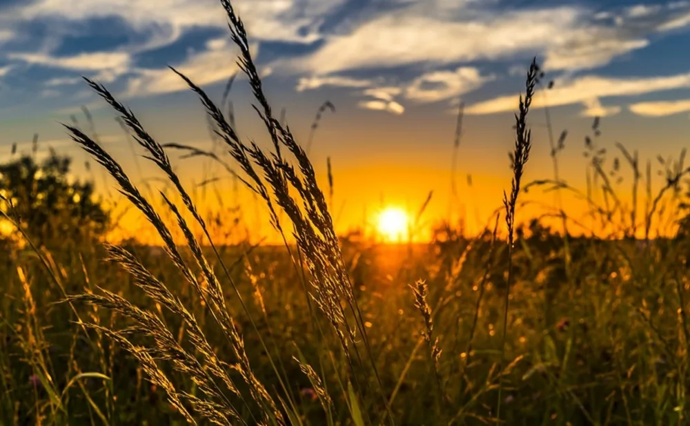 Sabah temperatur yüksələcək